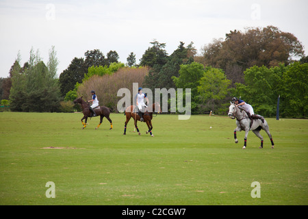 Polo Espositivo match vicino a Buenos Aires, Argentina Foto Stock