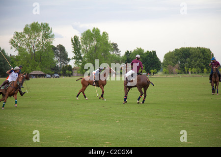 Polo Espositivo match vicino a Buenos Aires, Argentina Foto Stock