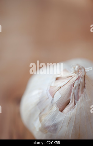 Bulbo aglio di olive wood board Foto Stock