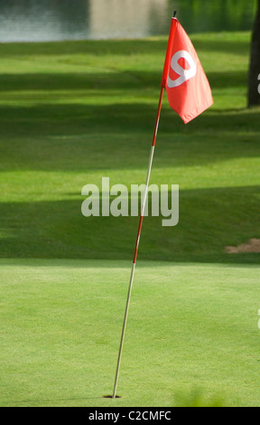 foro di golf Foto Stock