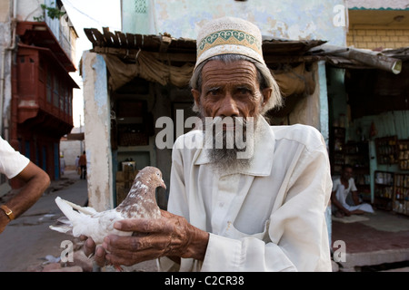 Un uomo che solleva i piccioni in Phalodi. Foto Stock