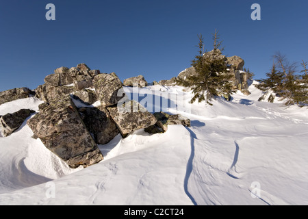 In inverno la taiga. Alberi e rocce nella neve. Sud monti Urali. Parco nazionale di Taganay. La Russia. Foto Stock