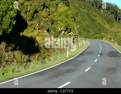 Westland Tai Pountini National Park, West Coast, Nuova Zelanda Foto Stock