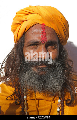 Ritratto di un sadhu, un Indù uomo santo, vestire abiti tradizionali, India Foto Stock