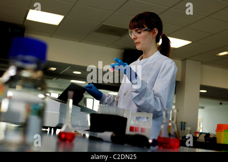 Tecnico di laboratorio, assistente di laboratorio in laboratorio Foto Stock