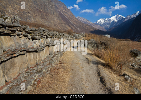 Muro di pietra con il mantra iscrizione. Langtang Trekking. Himalaya, Nepal. Asia Foto Stock