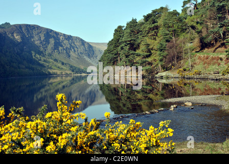 Primavera vista del lago superiore a Glendalough County Wicklow Irlanda Foto Stock