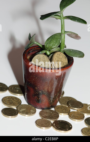 Le monete d'oro venuto fuori di alberi di denaro Foto Stock