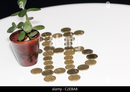 Crescono i fondi su albero Foto Stock