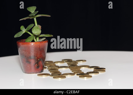Money Tree con il simbolo del dollaro composta da Australian monete d oro Foto Stock