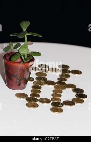 Money Tree con il simbolo del dollaro composta da Australian monete d oro Foto Stock