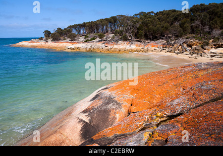 Coste rocciose a pantaloni punto su Flinders Island Foto Stock