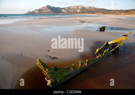 Rimane del relitto di una nave sulla spiaggia di Killiecrankie su Flinders Island Foto Stock