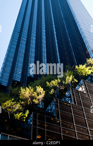 Verdi alberi che crescono su Trump Tower, Fifth Avenue, Manhattan, New York City, Stati Uniti d'America, 5th Ave, Donald Trump, New York City, STATI UNITI D'AMERICA, Foto Stock