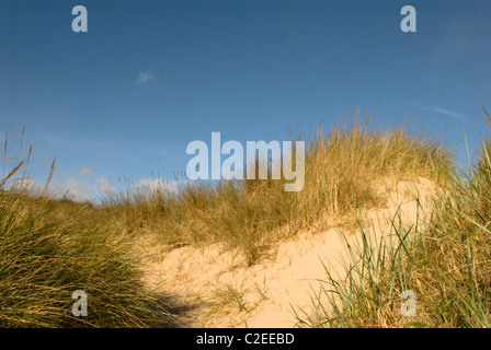 Seahouses Northumberland Inghilterra Foto Stock