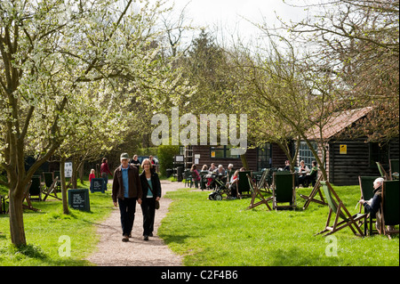 Il frutteto tea garden in Grantchester è un istituzione di Cambridge. Foto Stock