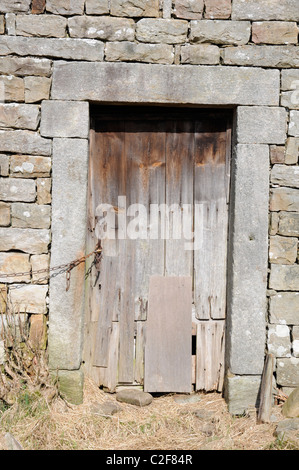 Vecchia porta, Thwaite, Swaledale, Yorkshire Dales, England, Regno Unito Foto Stock