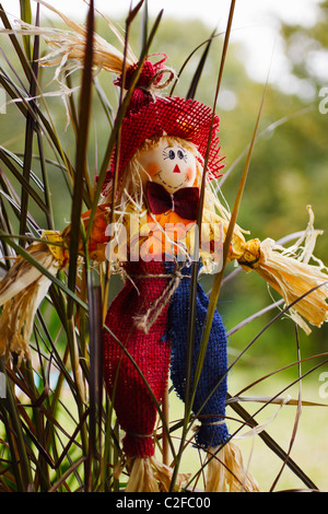 Female scarecrow with red hat. Foto Stock