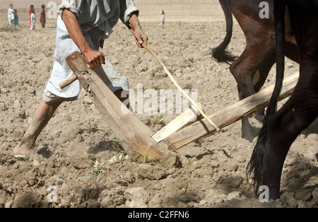 Un agricoltore che arano con un aratro di legno, Kunduz, Afghanistan Foto Stock