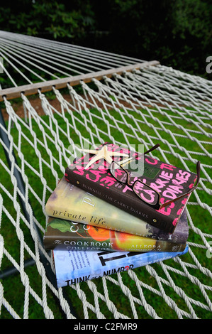 Pila di libri più venduti da Candace Bushnell Jane Smiley Allegra Goodman John Verdon su amaca lettura estiva Foto Stock