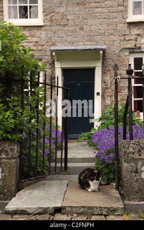 Cat sat sul passo al di fuori di una casa a Vicari Close, Città di pozzi, Somerset, Inghilterra Foto Stock