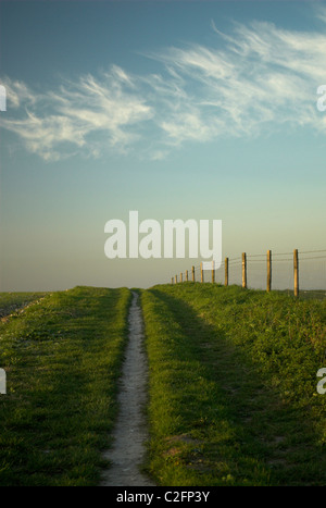 Il sentiero a Steyning Round Hill nel South Downs National Park Foto Stock