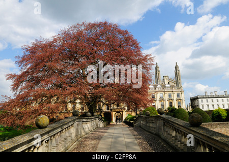 Clare Bridge e il Kings College Chapel, Cambridge, Inghilterra, Regno Unito Foto Stock