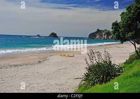 Hahei Beach, Hahei, Penisola di Coromandel, regione di Waikato, Isola del nord, Nuova Zelanda Foto Stock