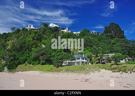 Montare Paku, Tairua, Penisola di Coromandel, regione di Waikato, Isola del nord, Nuova Zelanda Foto Stock