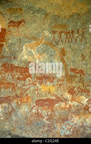 Colline di Matobo Zimbabwe Foto Stock