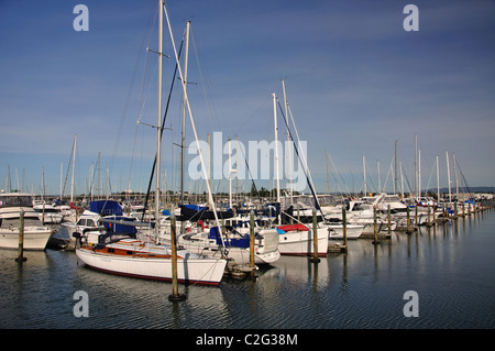 Barca Marina, Porto di Tauranga da Mount Maunganui, Tauranga, Baia di Planty Regione, Isola del nord, Nuova Zelanda Foto Stock