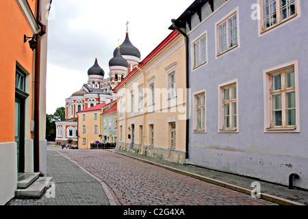 La Cattedrale Alexander Nevsky in background. Tallinn. L'Estonia. Foto Stock