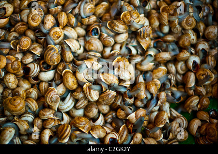 La cottura di lumache in vendita in un mercato in stallo Foto Stock