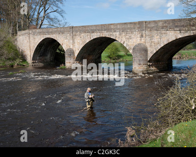 Trote Pescatore sul fiume Ribble Mitton a ponte, grande Mitton, Clitheroe, Lancashire, Inghilterra, Regno Unito. Foto Stock