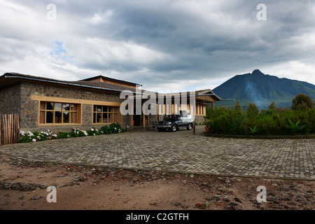 Gorilla di Mountain View lodge e il monte sabyinyo, Parc national des Volcans, montagne virunga, Ruanda, Africa Foto Stock