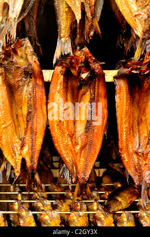 Un affumicatoio tradizionale pieno di aringhe e con salmone a Clovelly Aringa Festival nello storico villaggio di pescatori di Clovelly, Devon Foto Stock