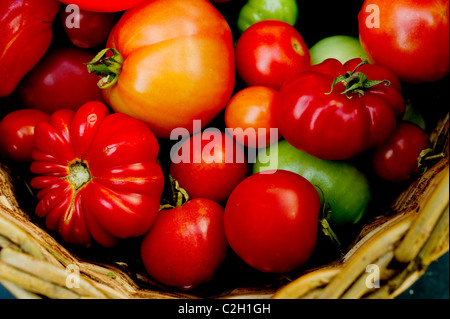 Una miscela di fresco home organici coltivati pomodori rossi in un cestello Foto Stock