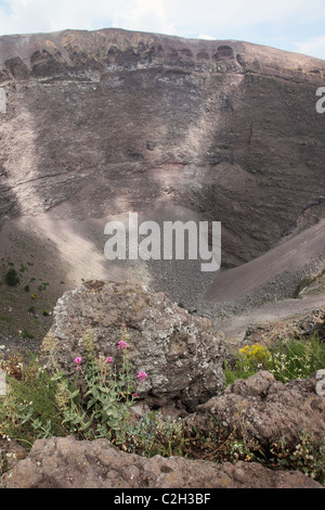 Cratere del Monte Vesuvio, Napoli, campania, Italy Foto Stock