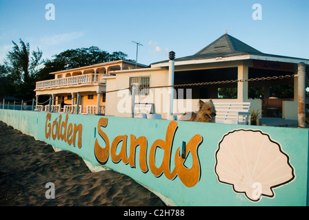 Cane a Golden Sands Beach Resort su Frenchmans Bay presso la spiaggia del tesoro, St Elizabeth, Giamaica. Foto Stock