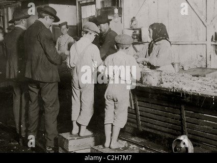 Otto-anno-vecchio Max, uno dei giovani raccoglitrici di gamberetti in Dunbar, Lopez, Dukate Company. Solo una piccola forza era lavorando quel giorno Foto Stock