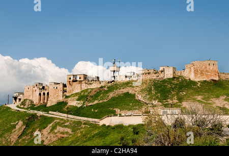 Rovine di Atamea, Qalaat al-Madiq, Afamiyya, Famiyyah, fortezza medievale della città, La Siria, il Governatorato di Hama, la pianura al-Ghab, ha fondato i Seleucidi del 3rd-secolo di BCE Foto Stock