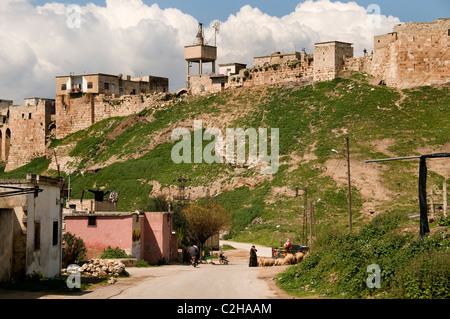 Rovine di Atamea, Qalaat al-Madiq, Afamiyya, Famiyyah, fortezza medievale della città, La Siria, il Governatorato di Hama, la pianura al-Ghab, ha fondato i Seleucidi del 3rd-secolo di BCE Foto Stock