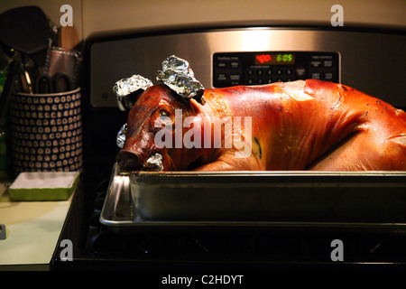 Il maialino arrosto in padella Foto Stock