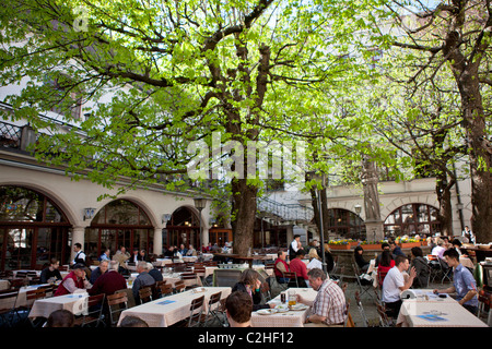 Giardino della birra, Hofbraeuhaus casa della birra di Monaco di Baviera, Germania Foto Stock