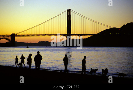 I locali giocano e corrono con i loro cani al tramonto su Crissy Field spiaggia nel quartiere di Marina di San Francisco © Bob Kreisel Foto Stock