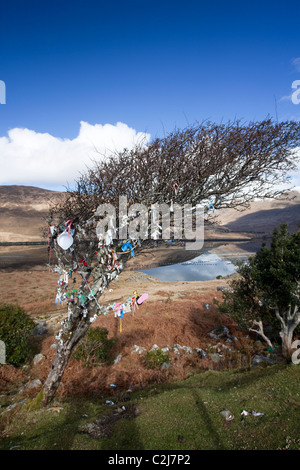 Fairy Tree sulla riva di Killary Harbour, Connemara, nella contea di Galway, Irlanda. Foto Stock