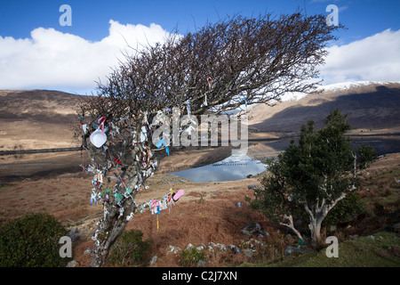 Fairy Tree sulla riva di Killary Harbour, Connemara, nella contea di Galway, Irlanda. Foto Stock