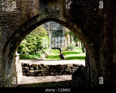 I giardini e le rovine di Whalley Abbey, Whalley, Clitheroe, Lancashire, Inghilterra, Regno Unito. Foto Stock