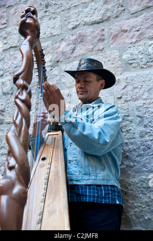 Il suonatore d'arpa di eseguire nelle strade del quartiere Gotico di Barcellona, Spagna Foto Stock