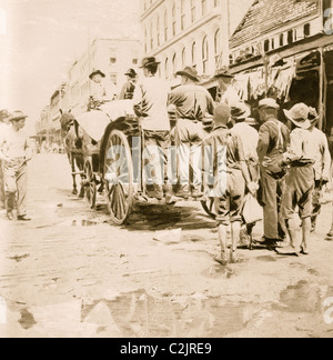 La raccolta delle morti da Galveston strade dopo l uragano del 1900 Foto Stock